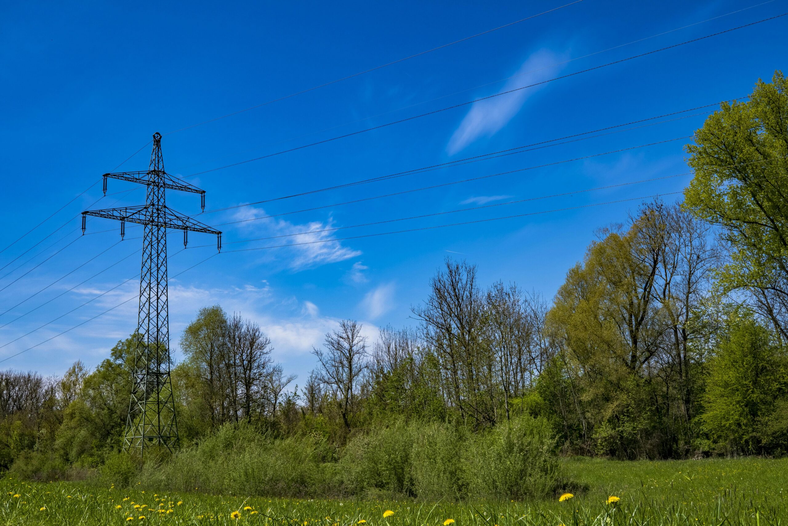 Power lines in a forest, with a blue sky above